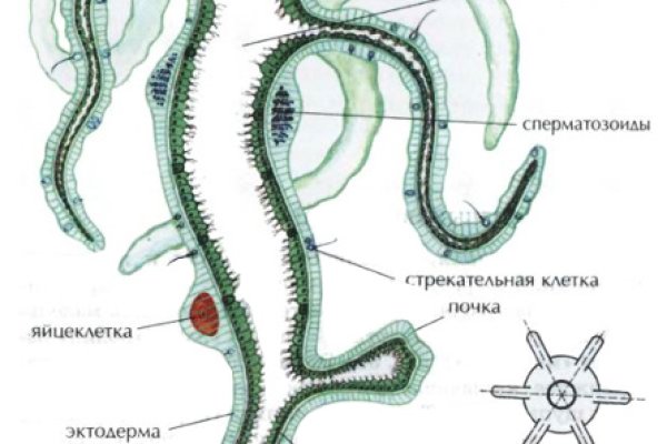 Как купить биткоин на блэкспрут