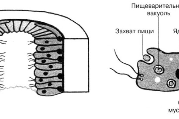 Почему не заходит на сайт блэкспрут