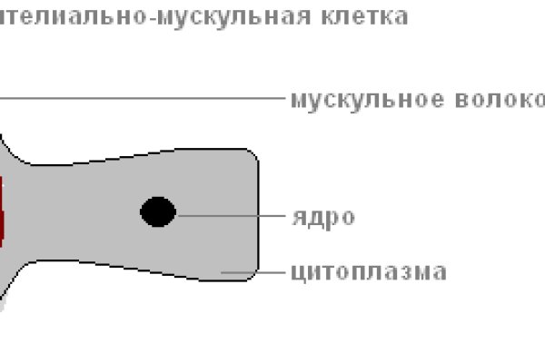 Как купить на меге первый раз