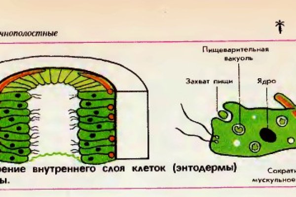 Меф цена