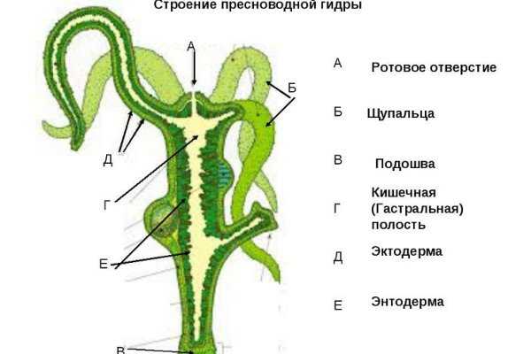 Ссылка omg через tor